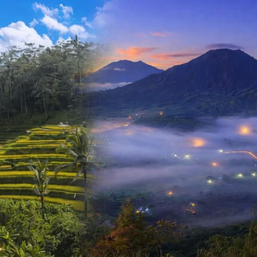 Ubud & Kintamani Tour